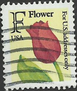 # 2517 USED RED ROSE    
