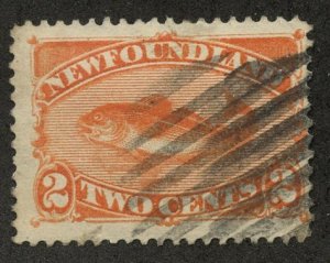 Newfoundland, Scott #48, Used