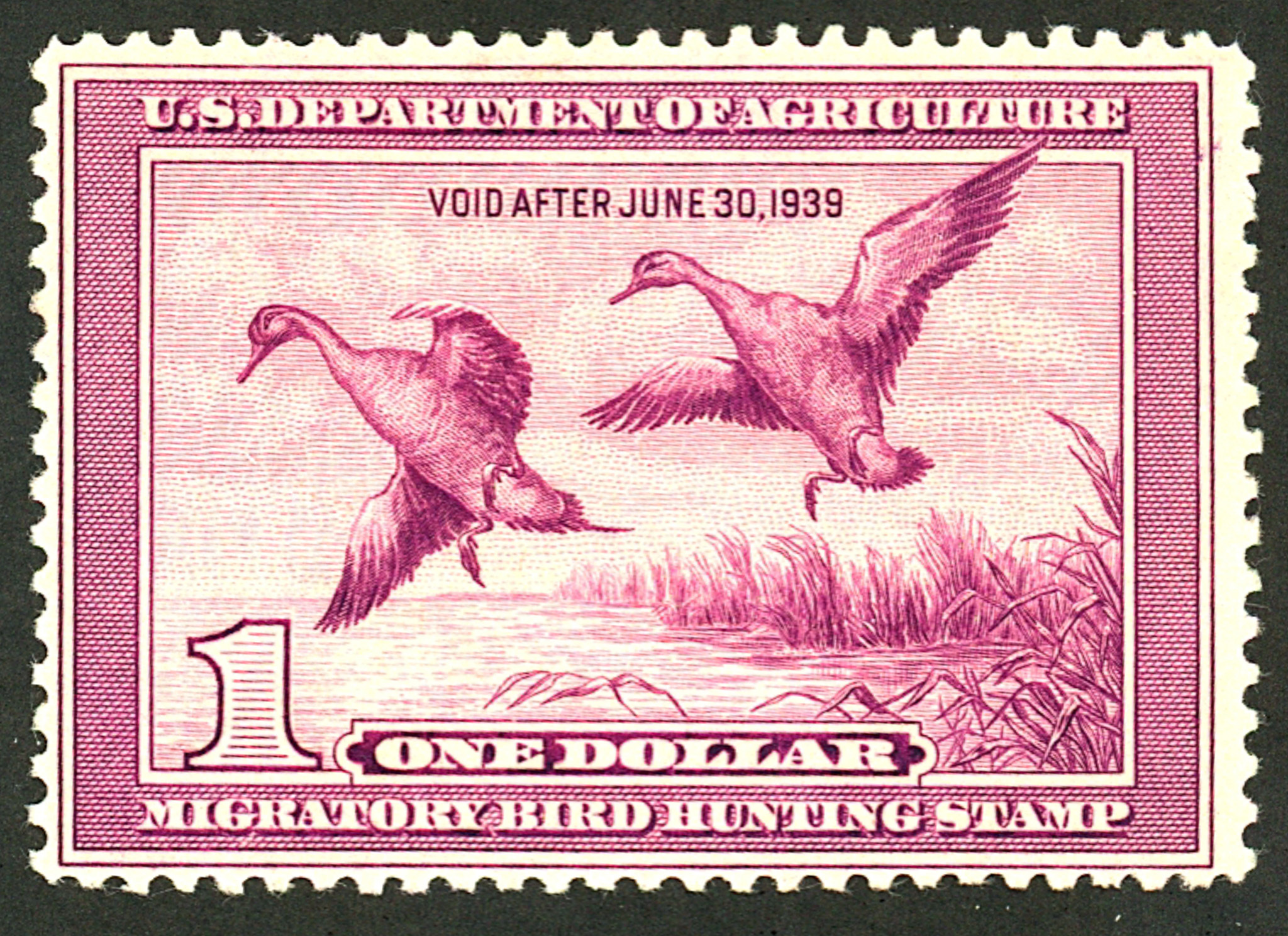 U.S. Rw5 Mint OG LH United States, Duck Stamps Federal Stamp