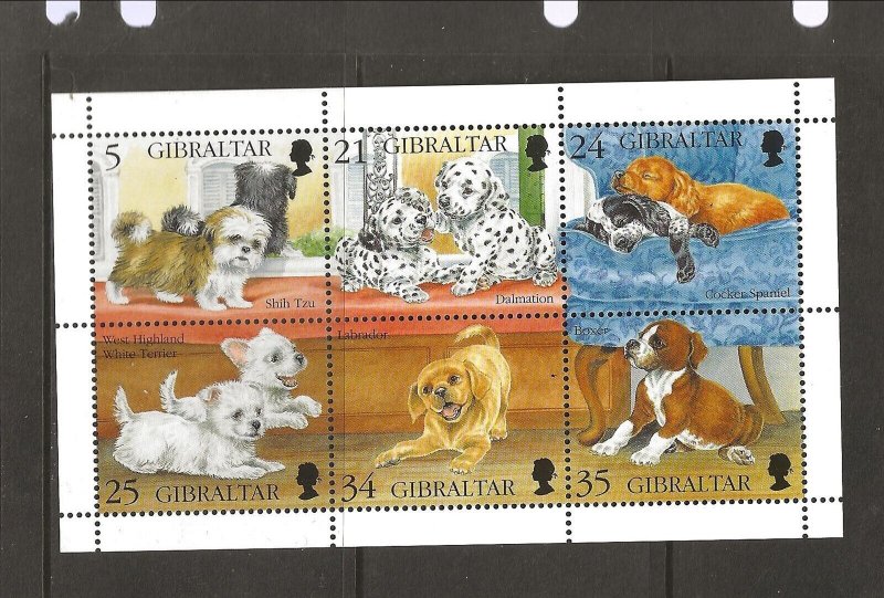 Gibraltar Sc 702 NH issue of 1996 -dogs-puppies