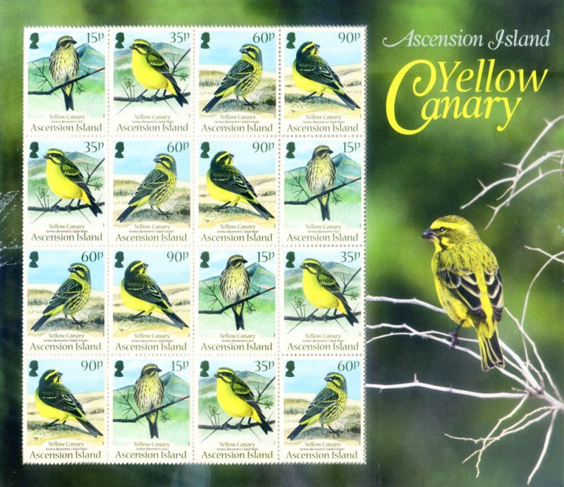 Fauna. 2010 Yellow Canary.