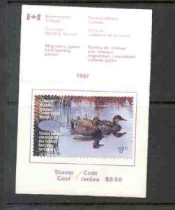 Canada 1997 Gadwalls stamp on license used