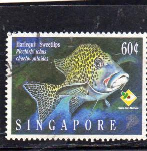 Singapore Fish used