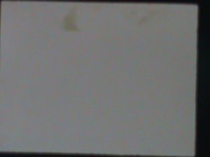 ​UMM AL QIWAIN-3D STAMP-ENDANGERED PROTECTING ANIMALS MINT VF LAST ONE