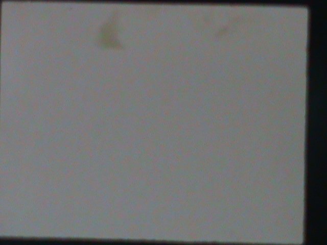 ​UMM AL QIWAIN-3D STAMP-ENDANGERED PROTECTING ANIMALS MINT VF LAST ONE