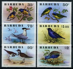 Barbuda Birds on Stamps 1976 MNH Terns Bananaquits Gallinule Killdeer 6v Set