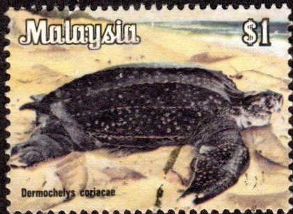 Malaysia 179 - Used - $1 Leatherback Turtle (1979)