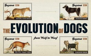 Guyana - 2012 - Evolution Of Dogs - Sheet Of 4 - MNH