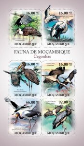 MOZAMBIQUE - 2011 - Sharks - Perf 6v Sheet - Mint Never Hinged