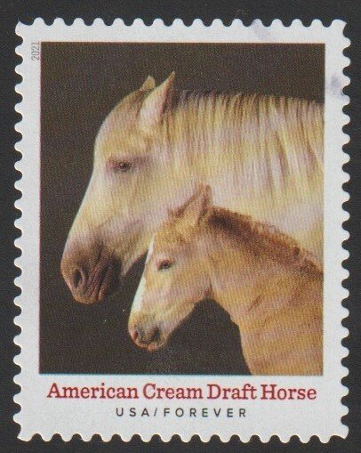 SC# 5590 - (55c) - Heritage Breeds Amer. Cream Draft Horses - 8/10 - Used Single