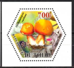 Chad 2014 Mushrooms (5) MNH Cinderella !