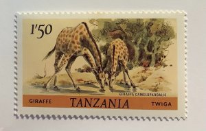 Tanzania 1980 Scott 168 MNH - 1.50 Sh, Animals, Giraffe, Giraffa camelopardalis
