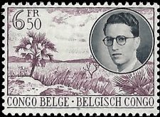 BELGIAN CONGO   #293 MNH (1)