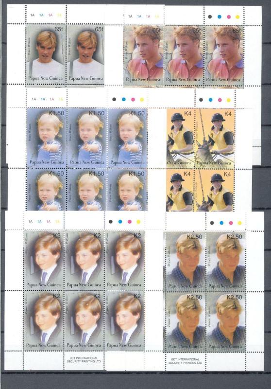 PAPUA PNG  2002 Prince William Royalty Set In Sheets MNH (36 Stamps)(PAP166a)