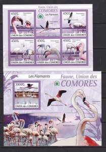 Comores 2009 Birds Flamingos Kb+Bl Imperf.  MNH