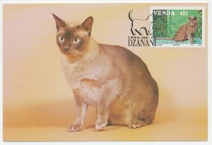 Maximum card Venda 1993 Cat
