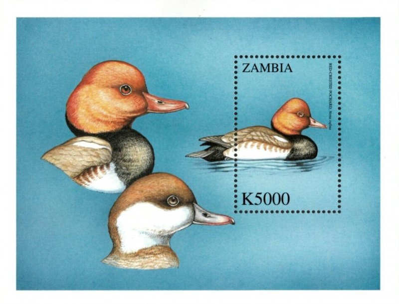 Zambia 2000 - Birds of The World Pochard Duck - Souvenir Sheet - Scott 889 - MNH