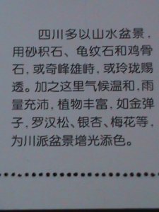 ​CHINA-CHINESE CULTURE DECORATION-BONSAI ARTS -MNH-S/S VERY FINE-LAST ONE