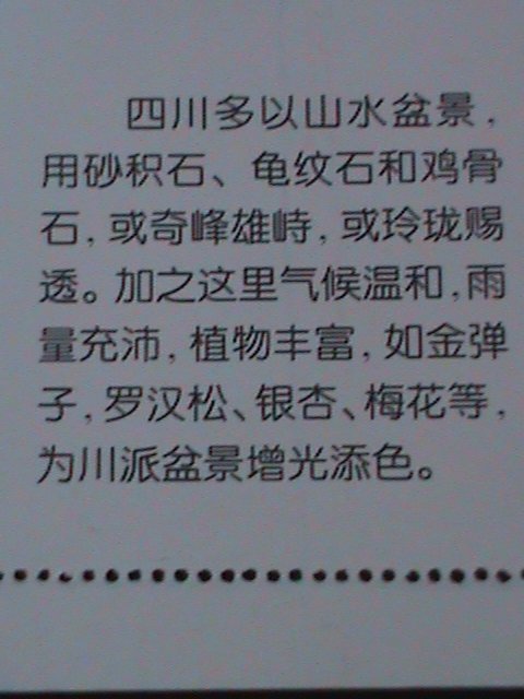 ​CHINA-CHINESE CULTURE DECORATION-BONSAI ARTS -MNH-S/S VERY FINE-LAST ONE