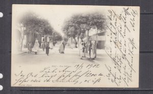 ALGERIA,1902 ppc. SETIF, Rue Sillegue, SETIF, 5c.(2), to Austria.