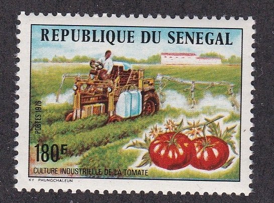 Senegal # 434, Tomato Harvesting Machine, NH, 1/2 Cat.