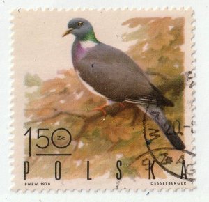 Poland      1724       used