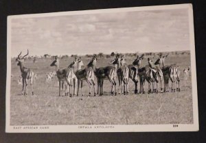 1958 Postcard Cover East African Impala Antelopes Kisumu Kenya to Sweden