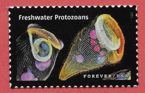 US #5802f (66c) Life Magnified - Freshwater Protozoans ~ MNH