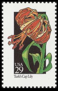 US 2681 Wildflowers Turk's Cap Lily 29c single MNH 1992