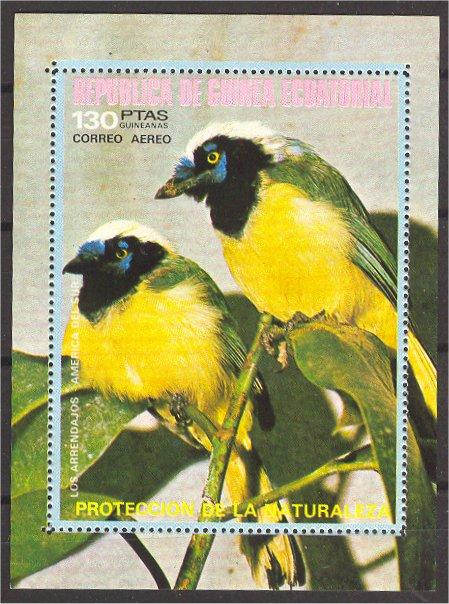 Eq. Guinea, BIRDS, SOUVENIR SHEET NEVER HINGED **! 