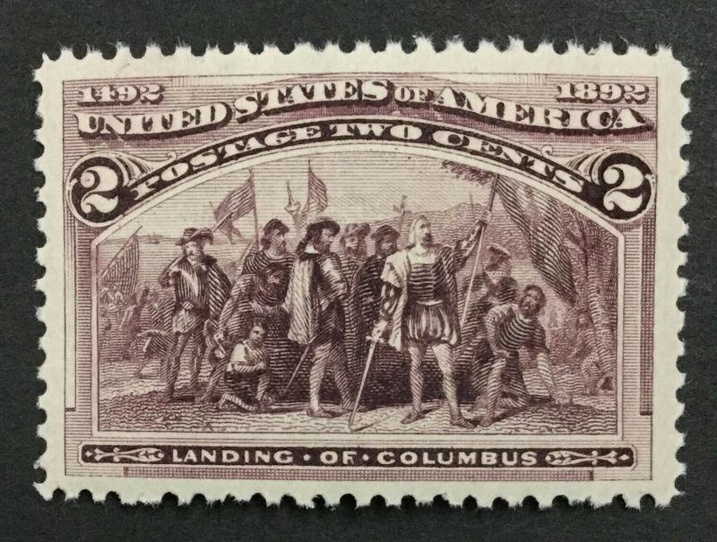 MOMEN: US #231 MINT OG NH #28220