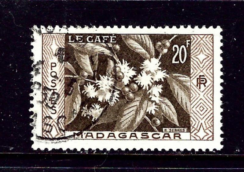 Malagasy 296 Used 1956 Coffee plant