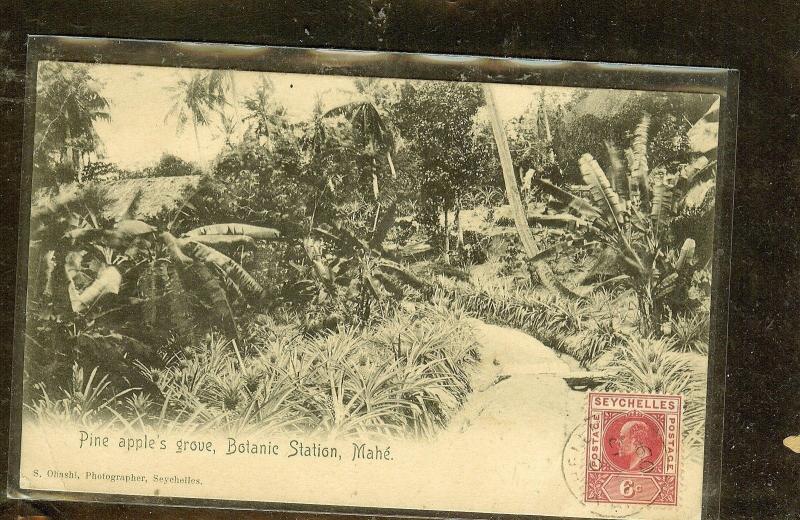 SEYCHELLES  (P2909B) KE 6C ON PPC 1909 TO FRANCE