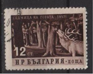 Bulgaria 1957 - Scott 978 CTO - 12s, red Deer in Forest 
