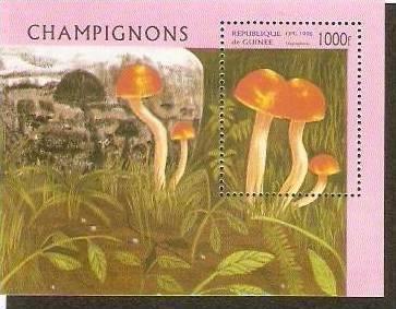 Republic Guinee 1996 Mushroom Fungi Plant M/s MNH  # 1904
