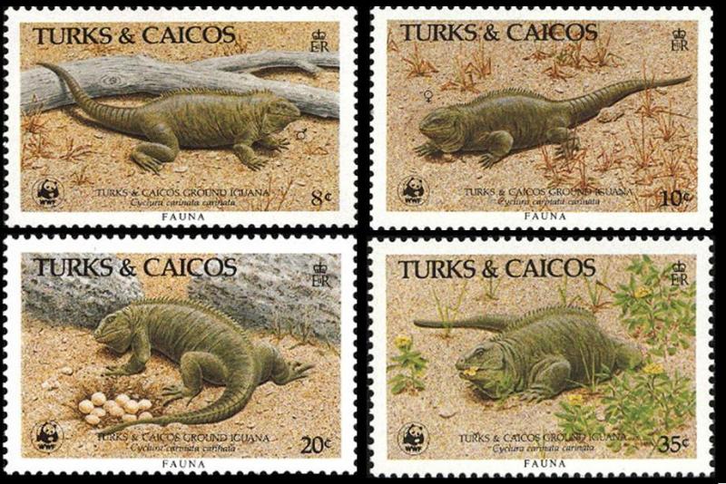 Turks and Caicos WWF Ground Iguana 4v SG#888-891 SC#710-713 MI#777-780