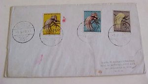 NETHERLANDS NEW GUINEA  1955 COVER TO USA