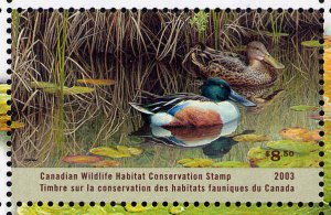 CANADA 2003 DUCK STAMP MINT IN FOLDER AS ISSUED NORTHERN SHOVELERS by P. Wolput