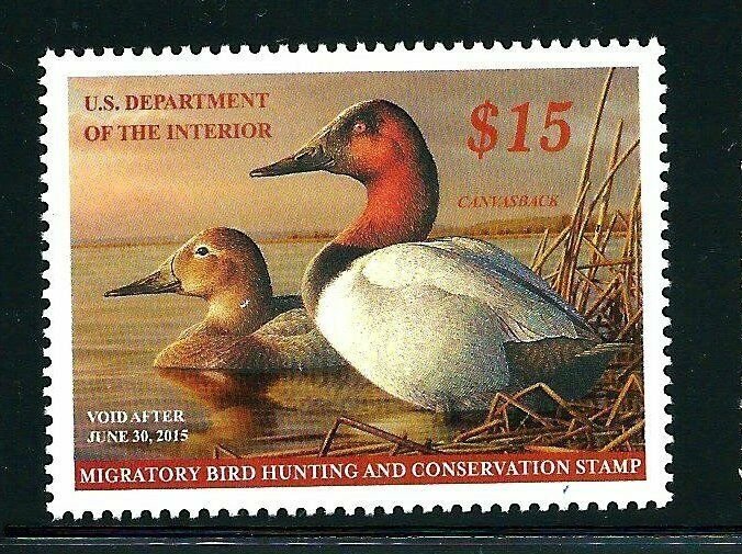 US SCOTT #RW81 - FEDERAL DUCK - MINT NEVER HINGED - 
