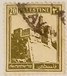 Palestine 77