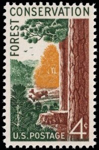 United States - Scott 1122 - Mint-Never-Hinged - Toning