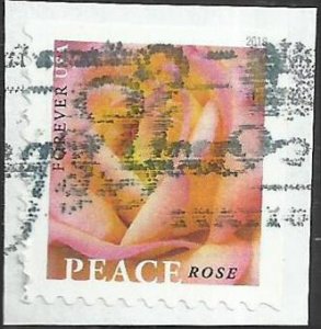 # 5280 Used Peace Rose
