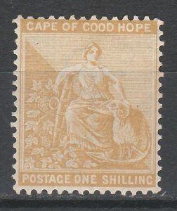 CAPE OF GOOD HOPE 1893 HOPE 1/-