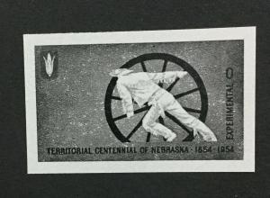 MOMEN: US #TD100 TEST NEBRASKA STAMP MINT OG NH #27263