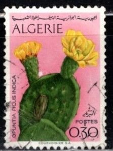 Algeria - #496 Flowers - Used