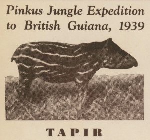 British Guiana Pinkus Jungle Expedition 1939 Signed Cover #230 Pair 2c Postage