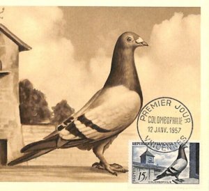 FRANCE 1957 FDC Le Gentil *PIGEON* Maxi-Card Colombophilie BIRDS First Day RF29