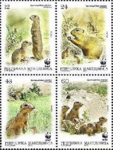 Macedonia 2011 WWF European ground squirrel set of 4 stamps in block 2x2 MNH