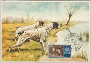 52675 - SAN MARINO - MAXIMUM CARD - ANIMALS dog POINTER 1956-