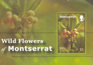Montserrat Scott #'s 1252 MNH